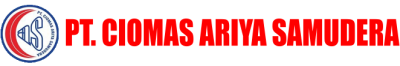 Logo PT CAS